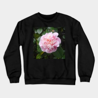 Luminous Crewneck Sweatshirt